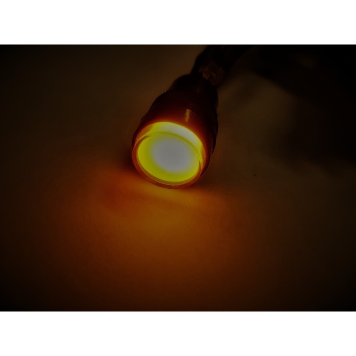 LED kontrolka 12/24 V s konektormi