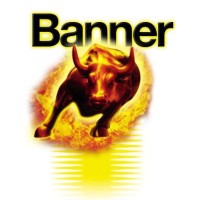 Banner Batteries